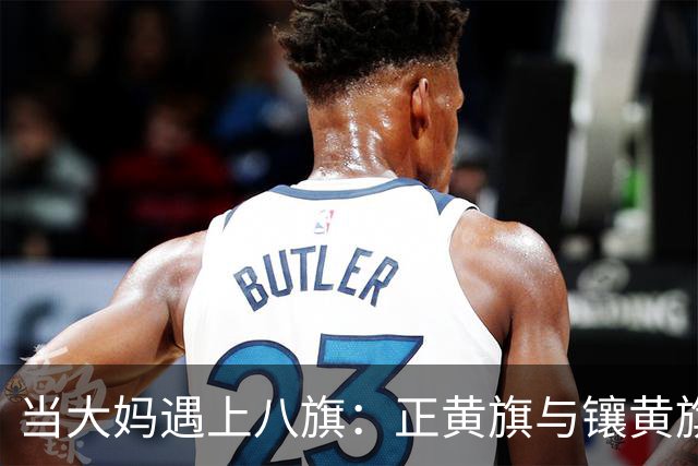 当大妈遇上八旗：正黄旗与镶黄旗的那些事儿
